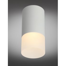 Потолочный светильник Lucido OML-100609-01