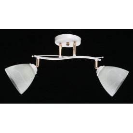 Потолочный светильник Нежность 676013502