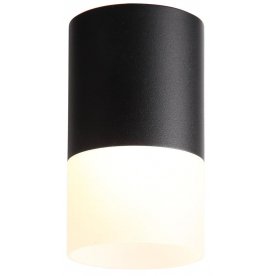 Потолочный светильник ST100.442.10