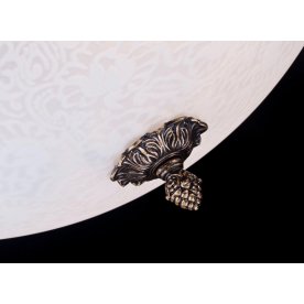 Потолочный светильник Pascal C908-CL-04-R