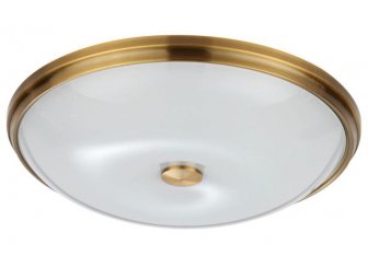 Потолочный светильник 4956/6