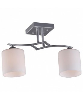 Потолочный светильник Pisticci OML-55307-02