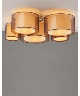 Потолочный светильник V10624-5C