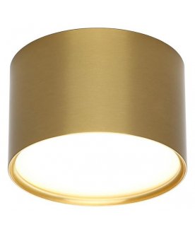 Потолочный светильник OML-100929-06