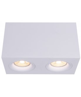 Потолочный светильник C013CL-02W