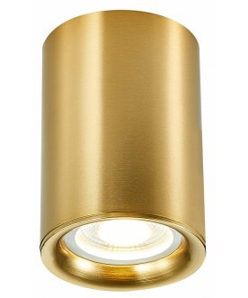 Потолочный светильник ST114.207.01