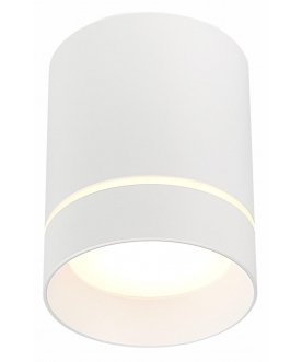 Потолочный светильник ST115.542.07