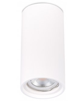 Потолочный светильник ST155.502.01