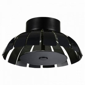 Потолочный светильник SL559.703.01