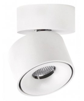 Потолочный светильник CL558010N