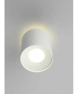 Потолочный светильник Torino OML-100309-16