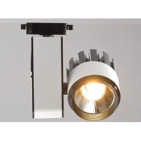 Потолочный светильник 550010801