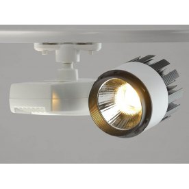 Потолочный светильник 550010901