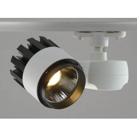 Потолочный светильник 550010901