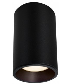 Потолочный светильник C029CL-01-S-B