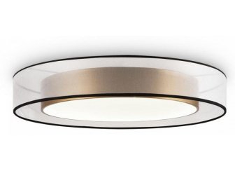 Потолочный светильник FR6005CL-L48G