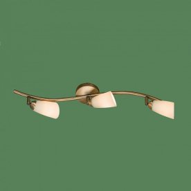 Спот Белла CL501533