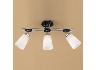 Спот Димона CL148131