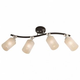 Спот Фортуна CL156141