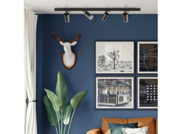 Трековый светильник CLT