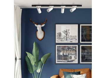 Трековый светильник CLT