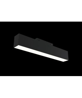 Трековый светильник lamps TR012-2-12W4K-B