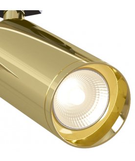 Трековый светильник TR004-1-GU10-G