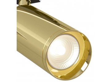 Трековый светильник TR004-1-GU10-G