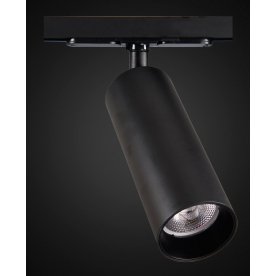 Трековый светильник Тубус CL01T181