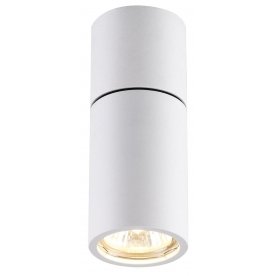 Накладной светильник Duetta 3582/1C