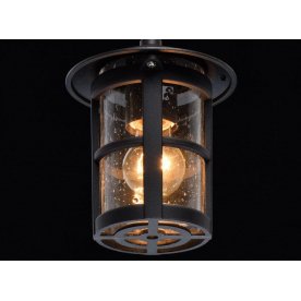 Уличный подвесной светильник Телаур 806011001