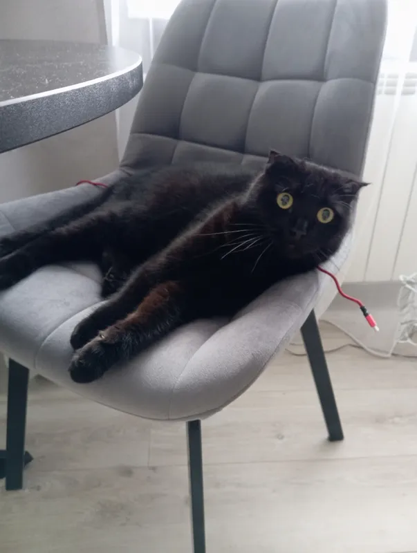 Комплект стульев Стронг 4 шт темно-серый / черный фото покупателя 81