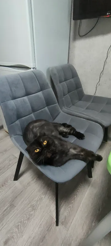 Комплект стульев Стронг 4 шт темно-серый / черный фото покупателя 135