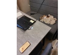 Деревянный стол Лота Лофт 120(160)х75 черный матовый / бетон светлый фото покупателя 751