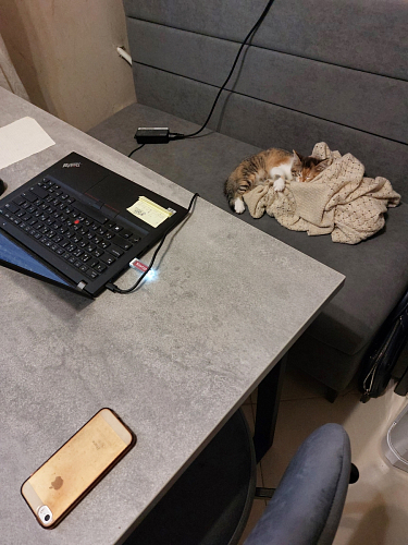 Стол раскладной Лота Лофт 120 25 мм юта / черный матовый фото покупателя 751