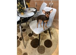 Стул на металлокаркасе Вейв темно-серый / черный фото покупателя 225