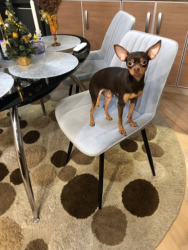 Стул на металлокаркасе Седа К кирпичный / черный фото покупателя 225