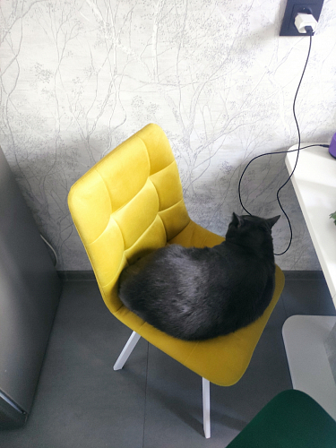 Стул Чилли 2 темно-серый  / черный фото покупателя 1358