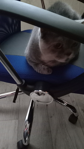 Компьютерное кресло ARANO черное фото покупателя 111