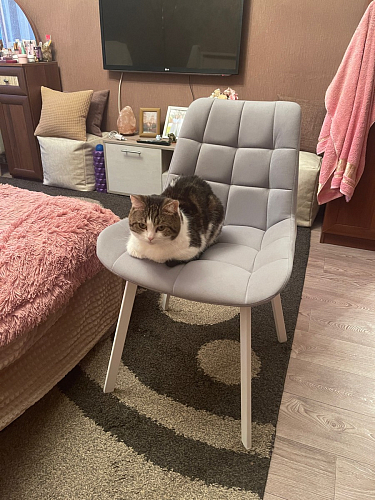 Стул на металлокаркасе Челси К крутящийся бирюзовый / черный фото покупателя 11