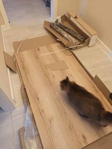 Стол Тринити Лофт 120 32 мм дуб галифакс табако / черный матовый фото покупателя 23