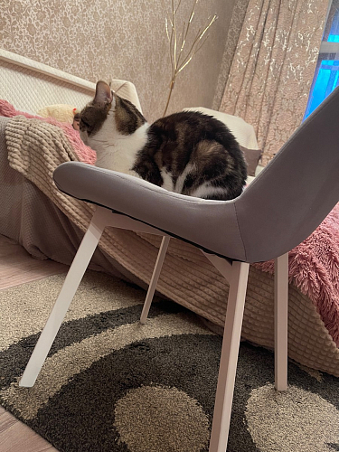 Стул на металлокаркасе Челси бирюзовый / черный фото покупателя 132