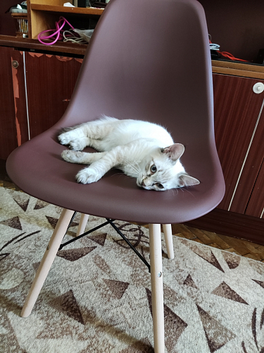 Пластиковый стул Eames PC-015 желтый фото покупателя 423