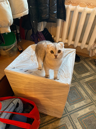 Стул на металлокаркасе Gabi 1 dark gray / black фото покупателя 756