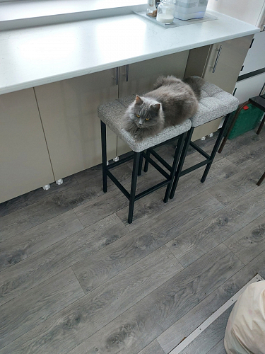 Барный стул Лофт ткань канди грей / черный матовый фото покупателя 27