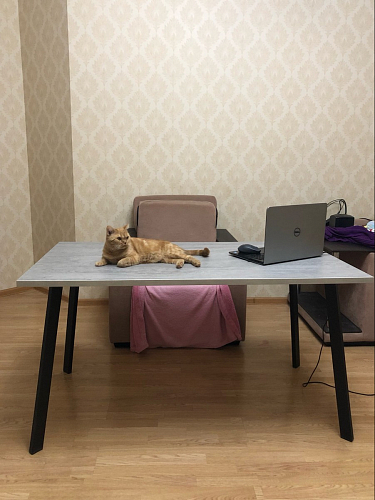 Стол Тринити Лофт 120 32 мм дуб галифакс табако / черный матовый фото покупателя 392