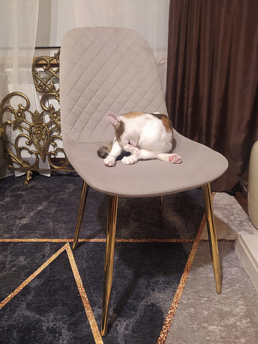 Стул на металлокаркасе Dabl wine red фото покупателя 78