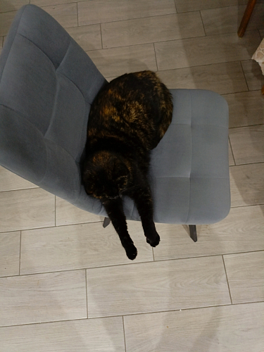 Стул на металлокаркасе Чилли зеленый / белый каркас фото покупателя 528