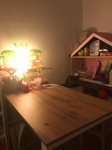 Письменный стол Битти Лофт 116х60х75 креатель / черный матовый фото покупателя 45