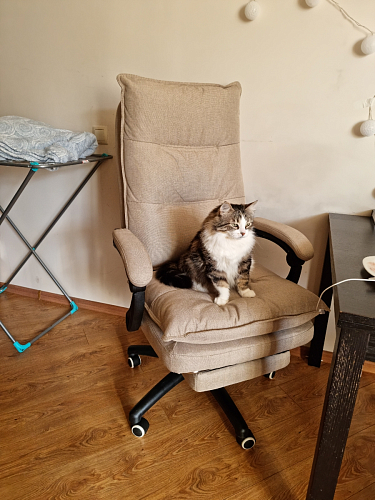 Компьютерное кресло Rapid голубое фото покупателя 40